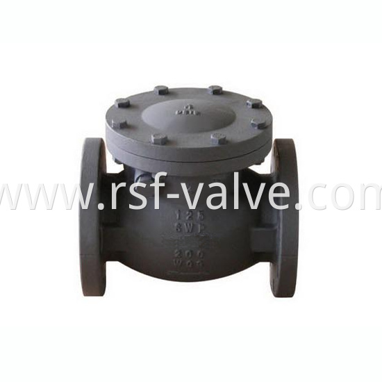 Mss Sp 71 Swing Check Valve